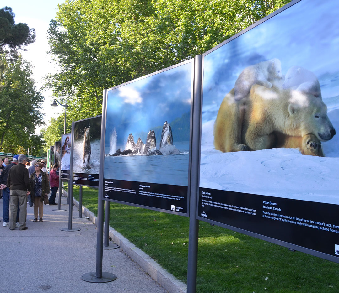 ExposicionesExterior1