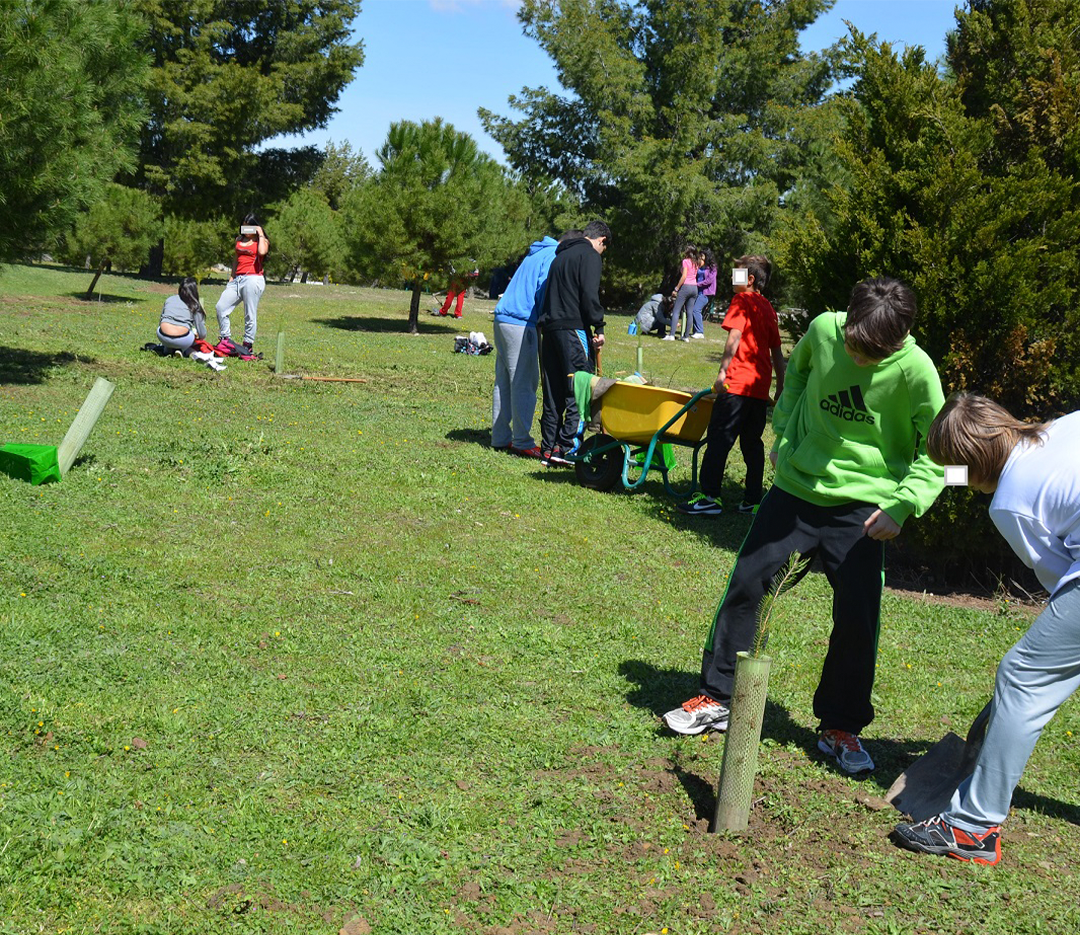 Plantacion RefuerzoyMotivacionEquipos